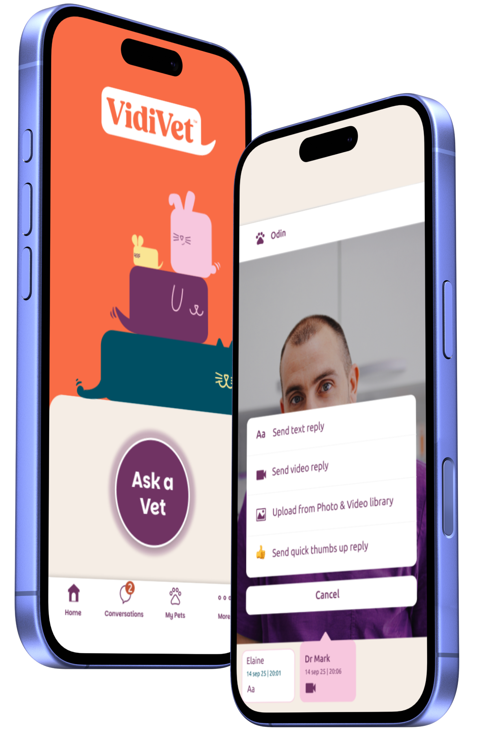 VidiVet app phone promo